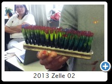 2013 Zelle 02