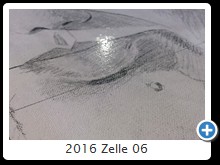 2016 Zelle 06