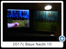 2017c Blaue Nacht 10
